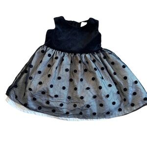 Charming Black Polka Dot Dress Velvet